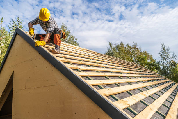 Best Roof Gutter Cleaning  in Resaca, GA