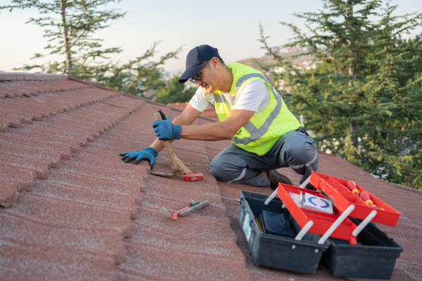 Best Roof Leak Repair  in Resaca, GA